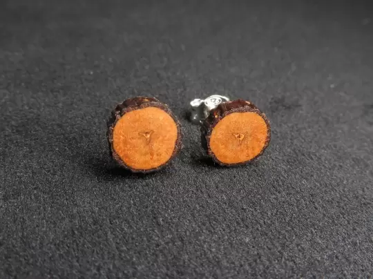 Holzohrstecker klein