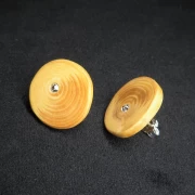 Holzohrstecker mit Stein