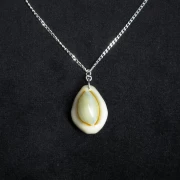 Kauri Muschelkette