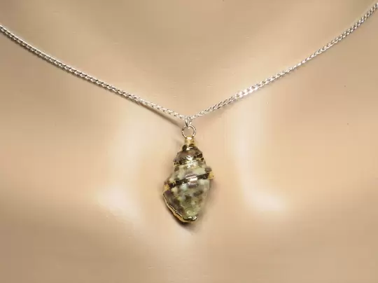 Kettenanhänger Muschel