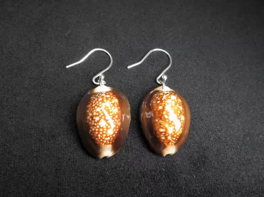 Ohrringe mit Muscheln